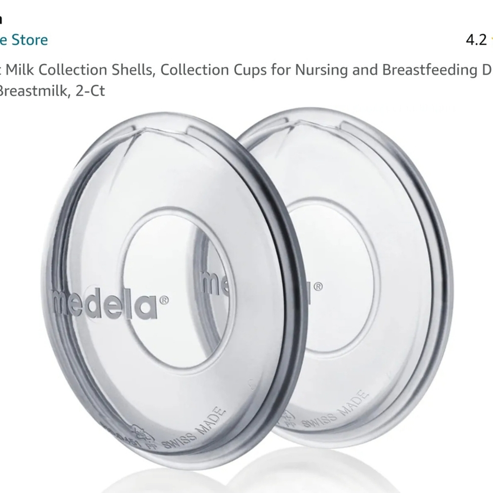 Collection Shells - Picture 4 of 4